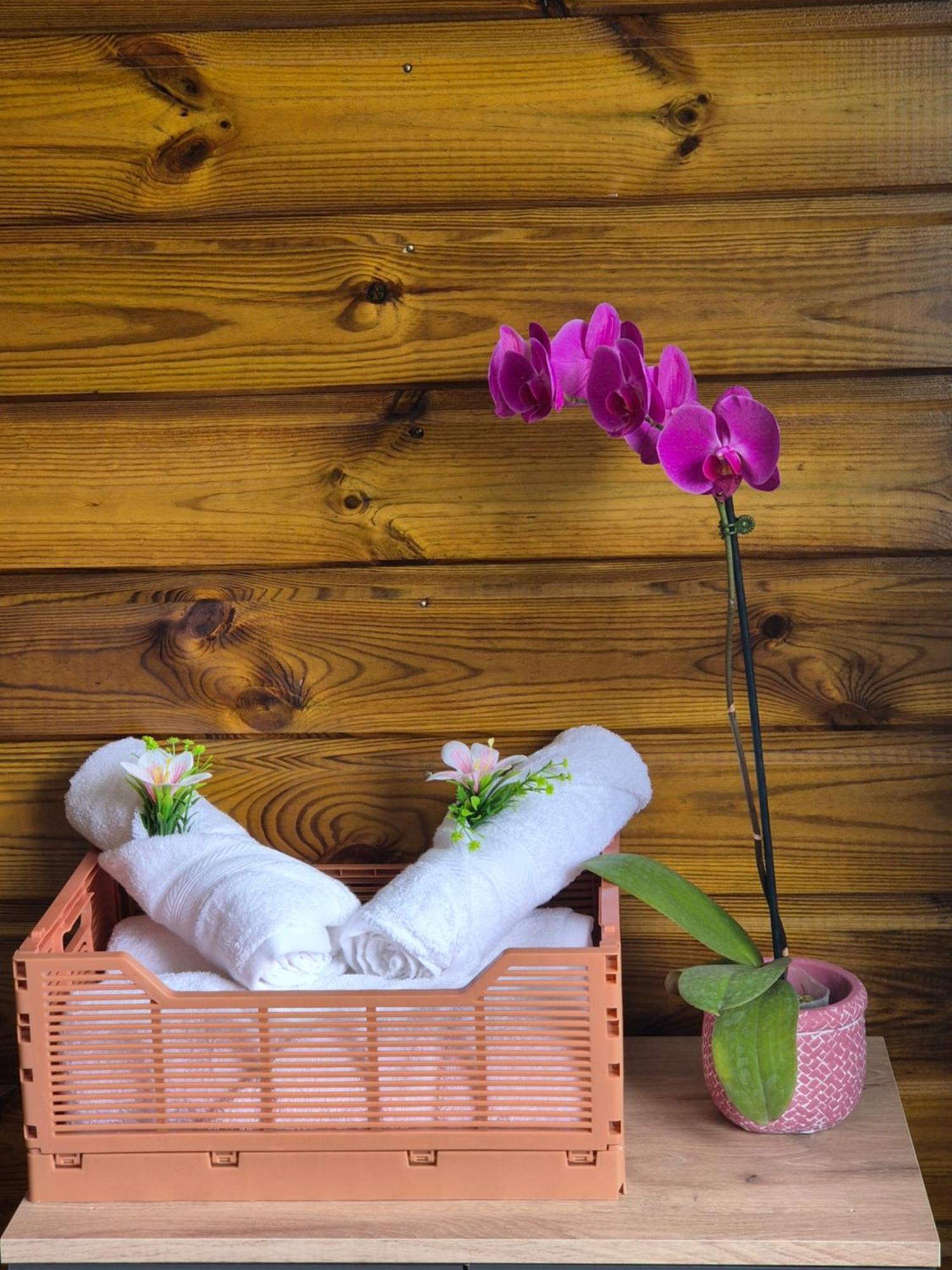 Chez Ti Karl Daire Le Tampon Dış mekan fotoğraf
